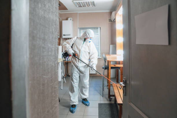  La Cresta, CA Mold Removal Pros